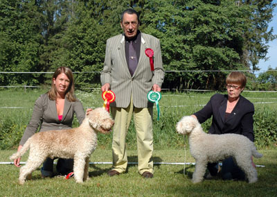 BENVENUTI - Lagotto Romagnolo