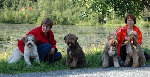 BENVENUTI - Lagotto Romagnolo